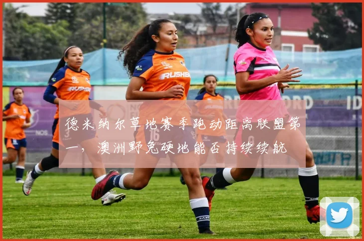 德米纳尔草地赛季跑动距离联盟第一，澳洲野兔硬地能否持续续航